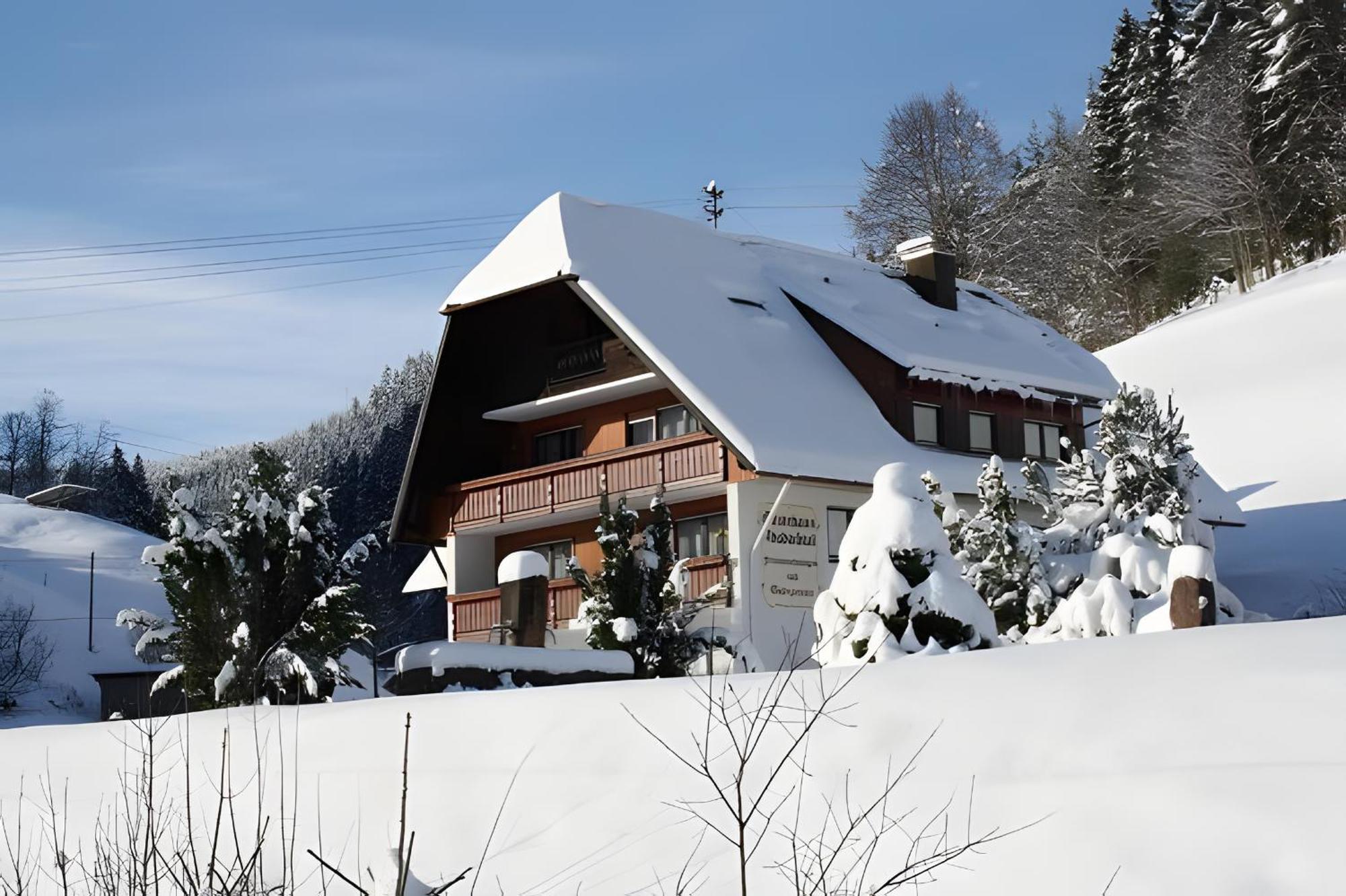 Gaestehaus Absbachtal Bad Rippoldsau-Schapbach Exterior photo